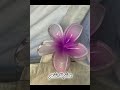 اشياء يجب ان تكون في حقيبة بحر اشياء يجب ان تكون في حقيبة بحر