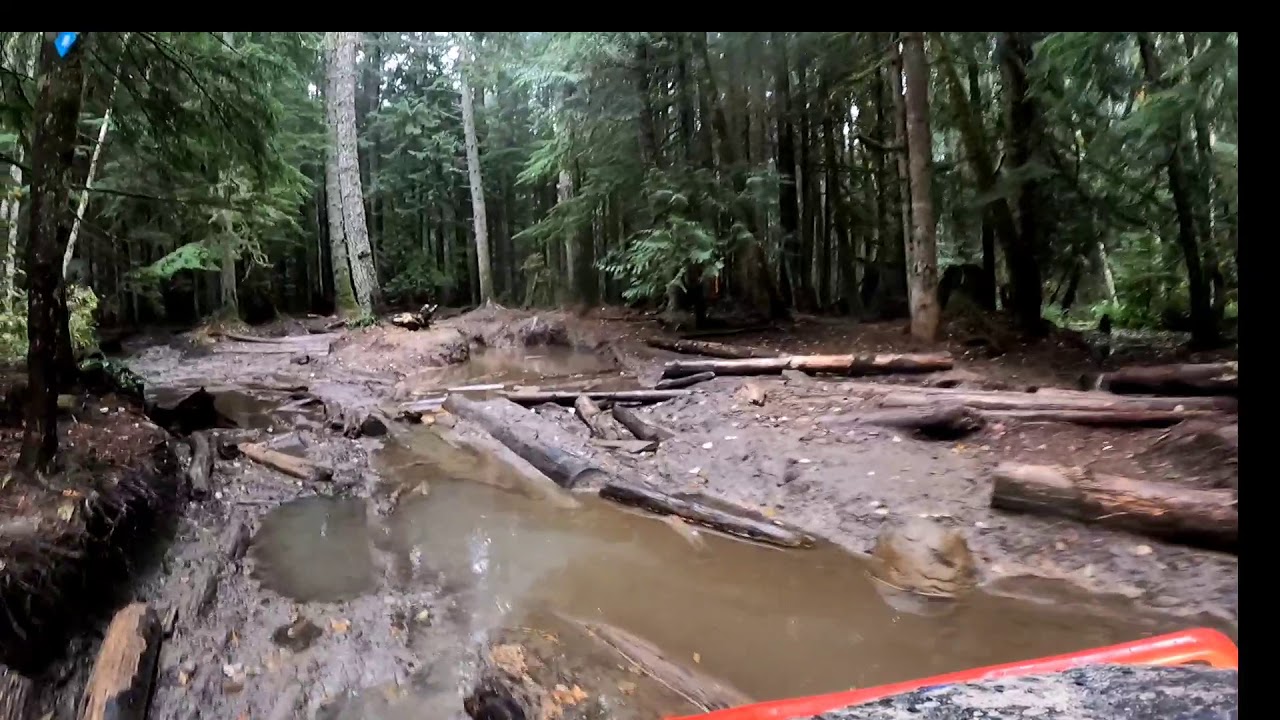 Swamp Trail, Elbe hills orv park, wa. sxs trails YouTube
