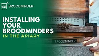 How to Install BroodMinder your Apiary