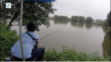 Câu cá rô phi ao bỏ hoang lâu năm