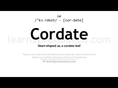 Pronunciation of Cordate | Definition of Cordate