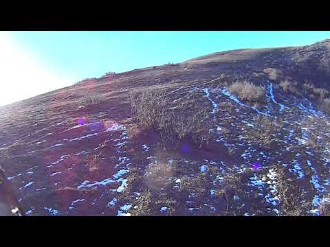 HUNTERFREDDY მელიაზე ნადირობა მორეკვით