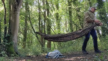DD nest hammock 🌳🌲