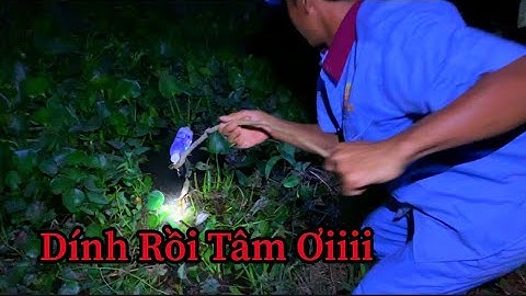 Thả Câu Chai Nhựa - Con Lóc Giật Giật Cái Phao Nhìn Thấy Mê