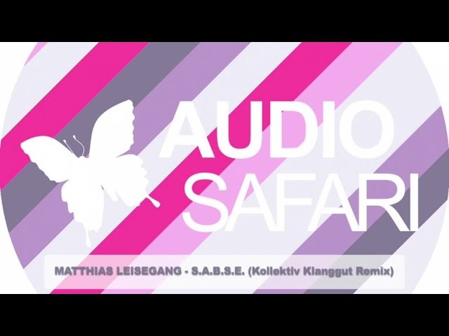 Matthias Leisegang - S.A.B.S.E.