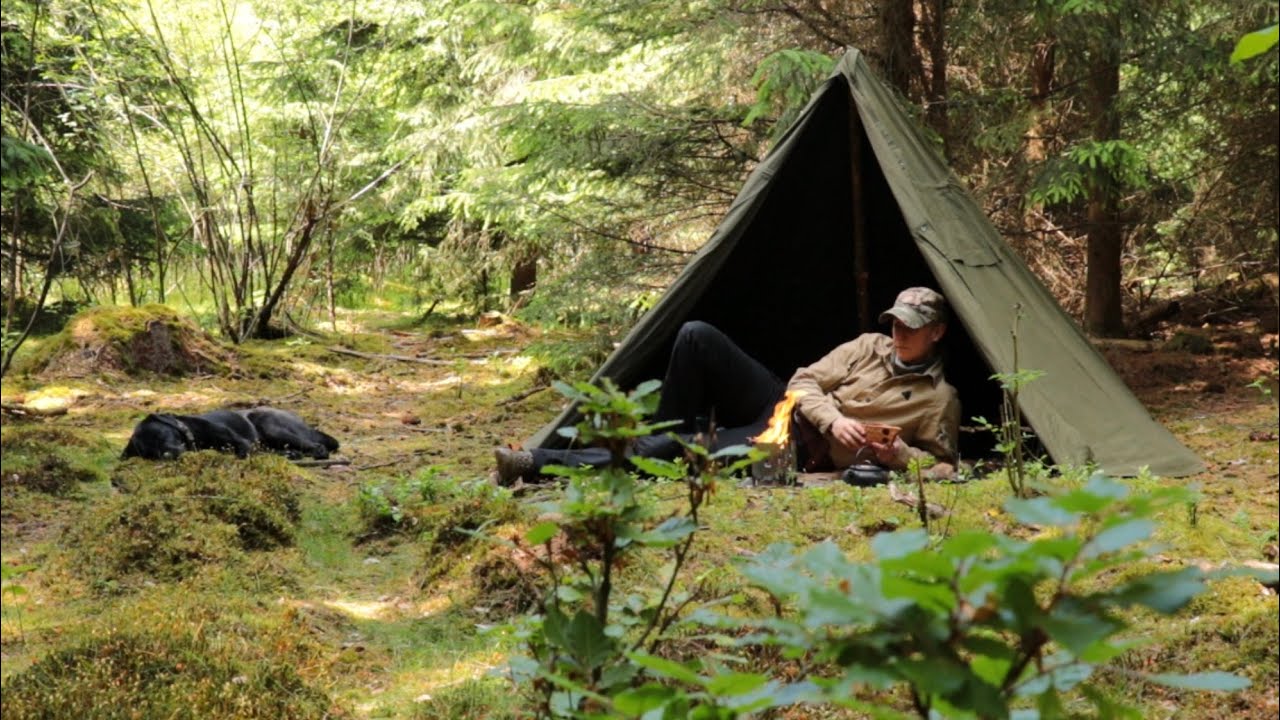Forest walk and Polish Lavvu Bushcraft Camp with Bushbox Cooking, ASMR, Nature Sounds