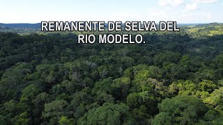 Los rincones inexplorados de Río Modelo || Oaxaca indomable. (2/2) by Farit descubre 46,675 views 6 months ago 31 minutes