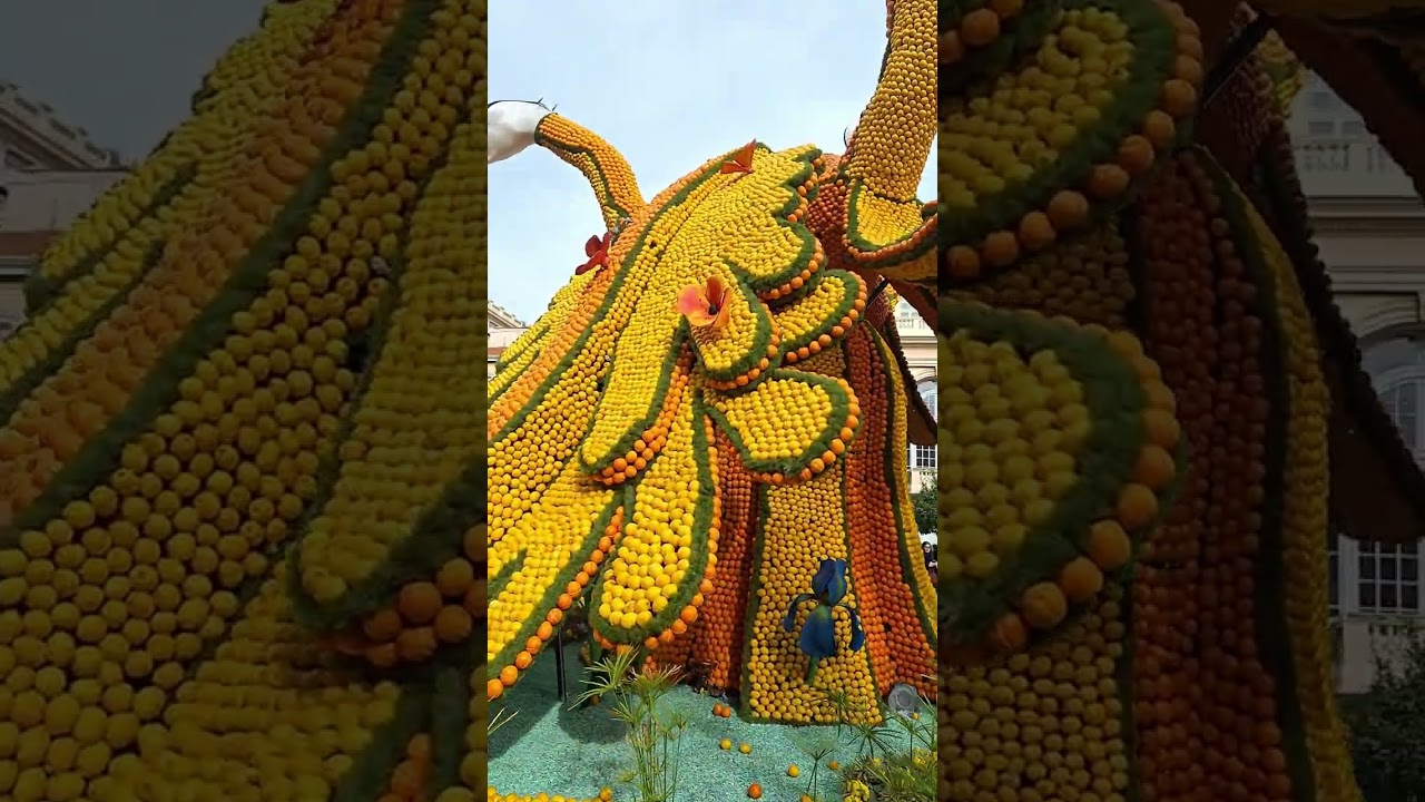 Добро пожаловать в город   Ментон, это граница Франции и Италии и это ежегодный праздник цитрусов 