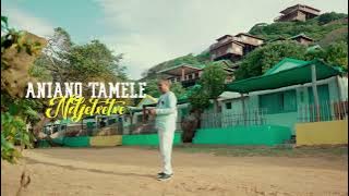 Aniano Tamele - Ndjetxetxe Brevemente