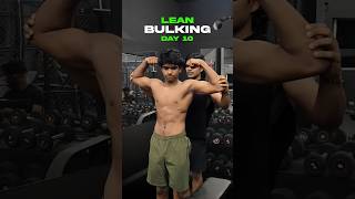 Lean Bulking day 10 of my 15 year old bro (class thudenghi 🙂) Profile