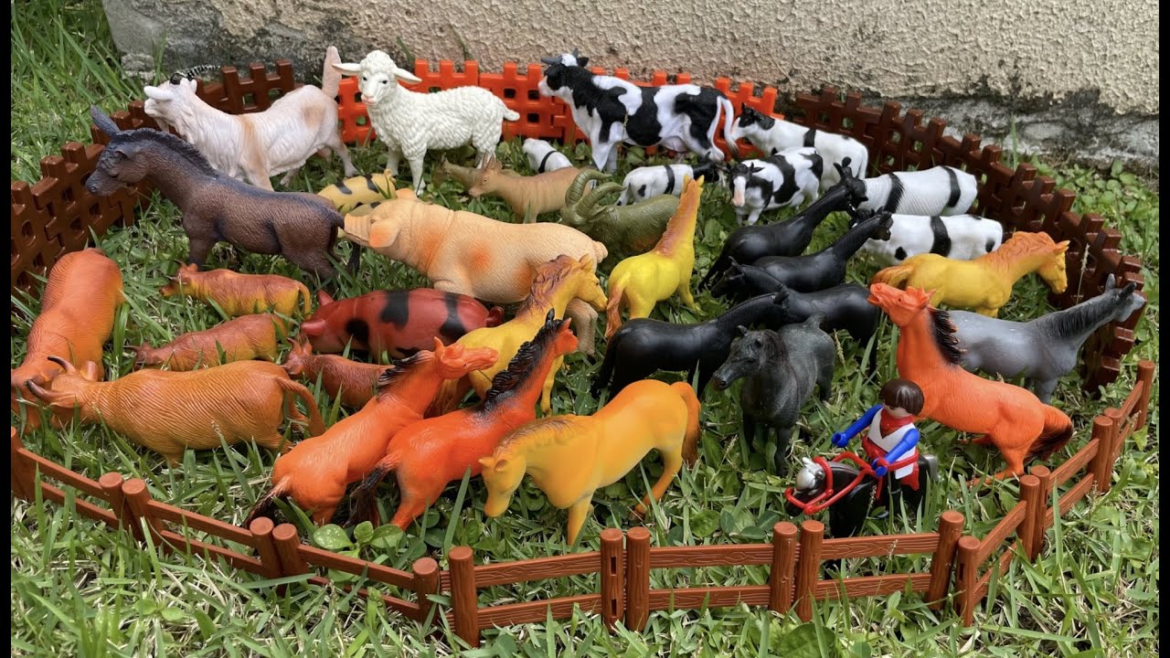 TRANSPORTING ALL ANIMALS IN TRAILERS / TRANSPORTANDO TODOS OS ANIMAIS NAS CARRETAS