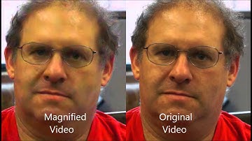 Video Color and Motion Magnification