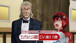 TV動畫第2期「工作細胞!!」2021年1月放送開始！第1彈PV