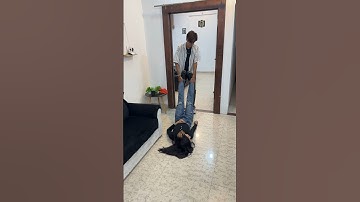 Wait for end 😢😢 || Harsh Patel || #shorts  #viral  #trending  #saspenstories  #harshpatel