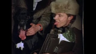 Собаки ходят тут! Собаки ходят тут!