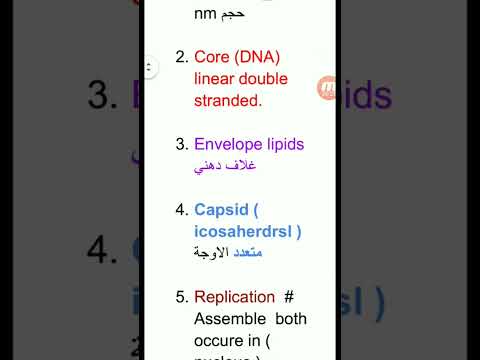 هربس فيروس    شرح كامل في قناة ٤ دقايق