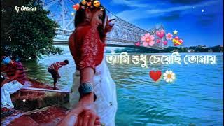 আমি শুধু চেয়েছি তোমায় ❤️|| Bangla Lofi song 🌼 rjofficial 🌼