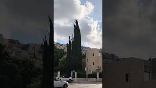 Haifa #haifa #israel #bahai #youtubeshorts #travel