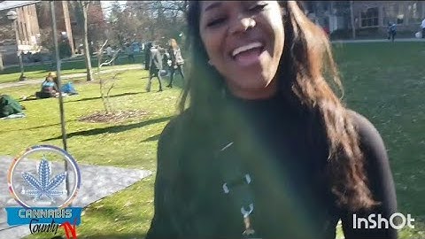 *CANNABIS COUNTY TV @ THE HASH BASH 2024 - #RR - s/o TO ALL THE VENDORS