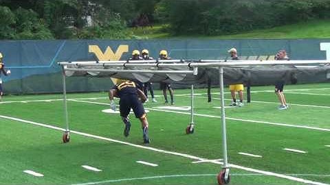 BlueGoldNews.com: DB Backpedal-and-Break Drill 8/2/17