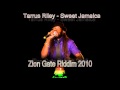 Zion gate riddim 2010  eyeman mix