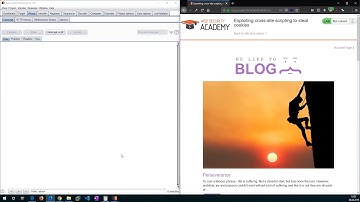 Exploiting cross site scripting to steal cookies (Video solution)