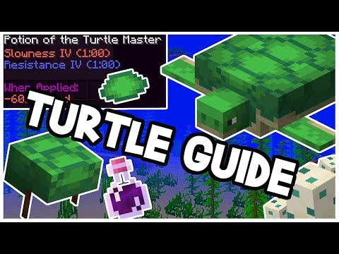 Minecraft Turtle Guide | NEW Potion, Helmet, Breeding, Farming, Eggs, Scutes & MORE