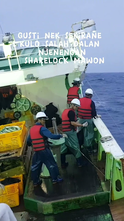 cara kerja kapal Longline Korea#tangkap snap atas#spulmachine #kapal longline #pelautindonesia