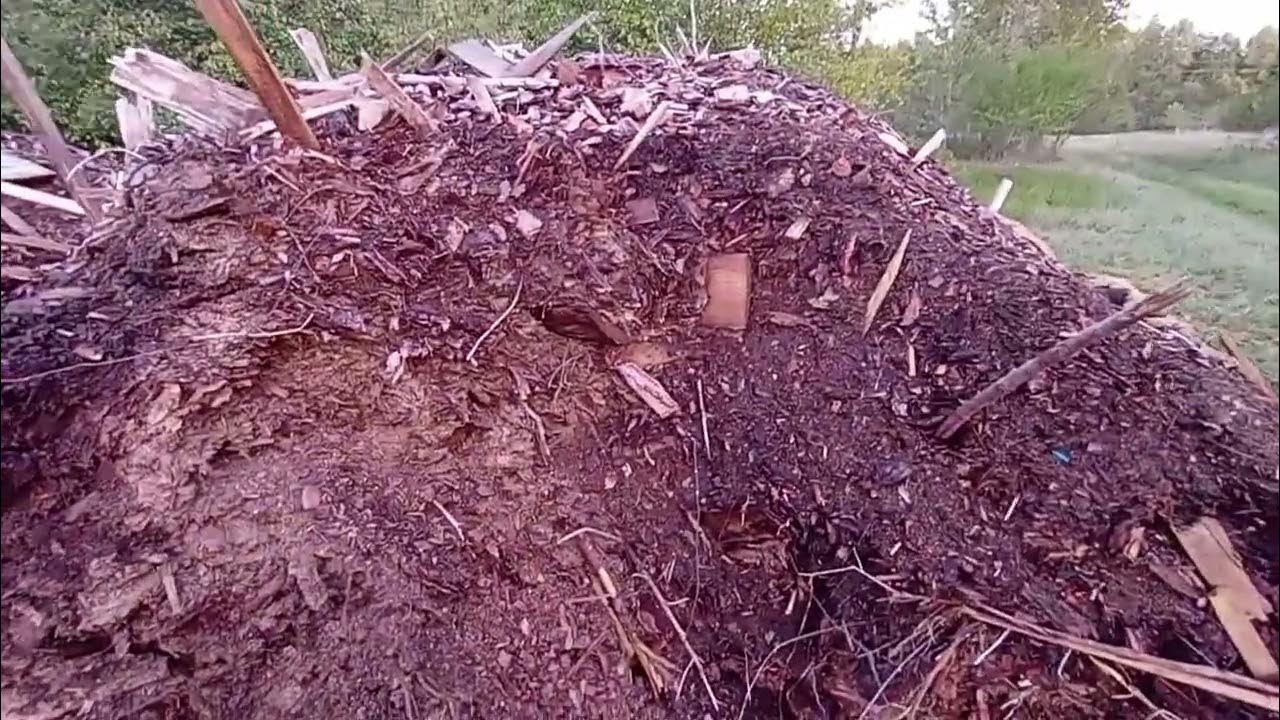 Закладка ряда голубики, второй этап. Субстрат для посадки голубики и ...
