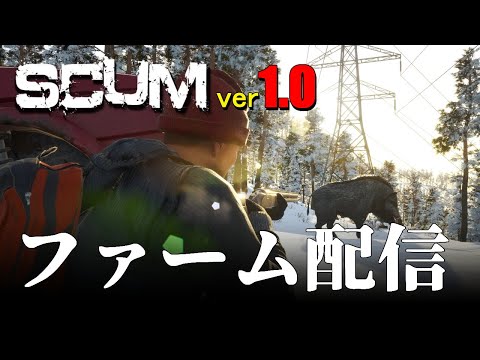 【 SCUM 1.0 】出城の壁を完成させたりちょっとだけお金稼ぎするぞ / 動画用データの下準備とかです #live