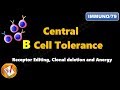 Central B cell Tolerance : Receptor Editing, Clonal Deletion and Anergy  (FL-Immuno/79)