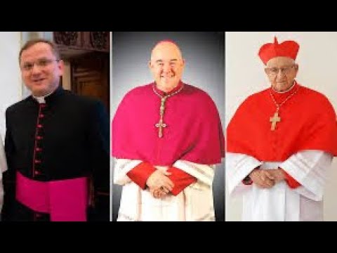 Video: ¿Cuál es la diferencia entre cardenal y diácono?