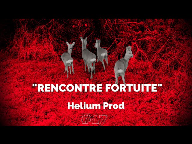 "RENCONTRE FORTUITE" - 2020