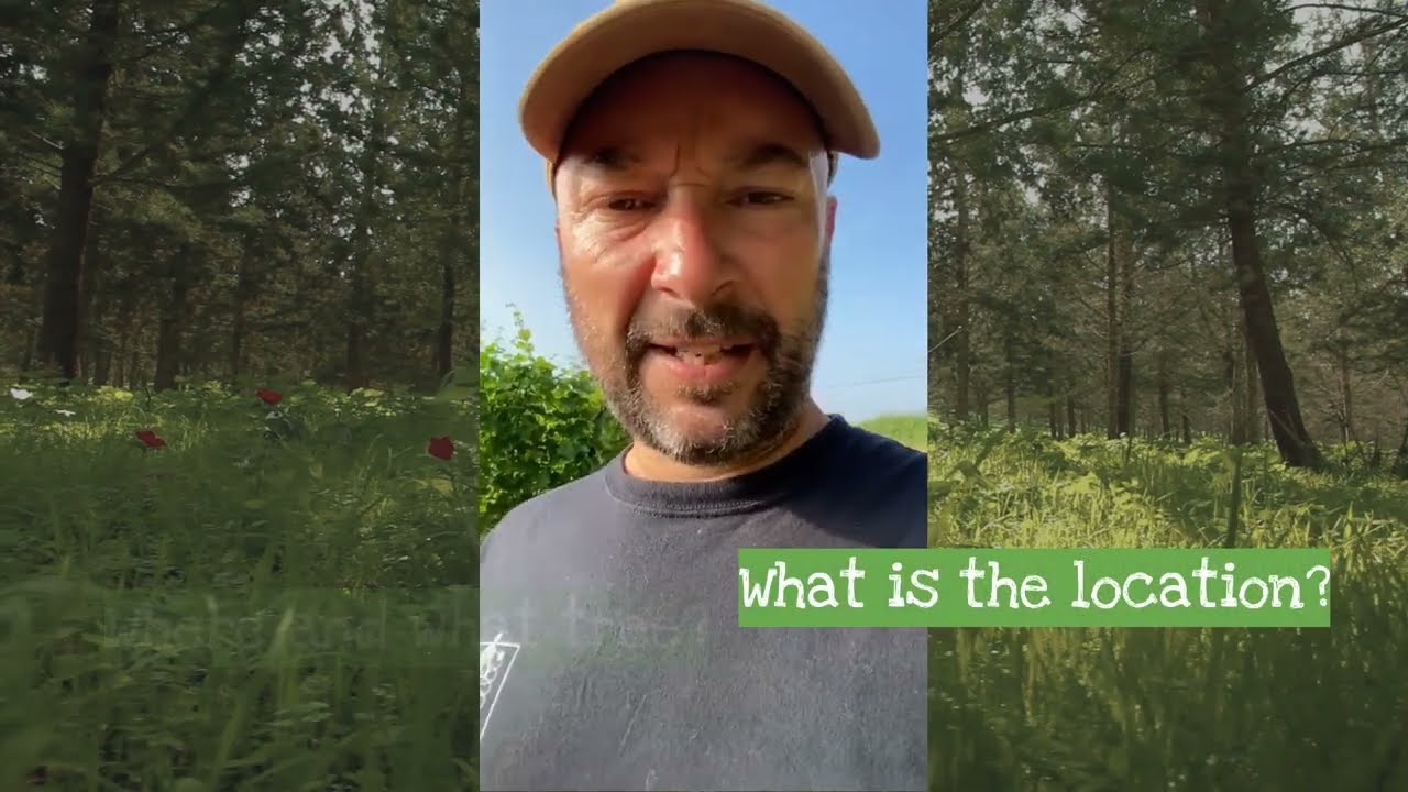 How Much Does It Cost To Cut A Tree Down YouTube how-much-does-it-cost-to-cut-a-tree-down-youtube