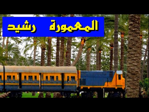 رحلة قطار من المعمورة الاسكندرية الى مدينة رشيد بلد المليون نخله
