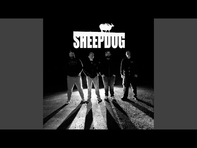 Sheepdog - Don't Follow the Sheep