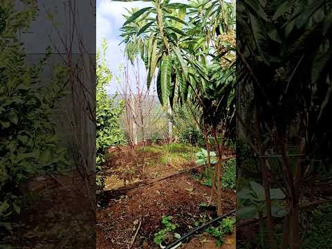 ليك تفعيل جرس تعليق مثلكم حلو الله أكبر