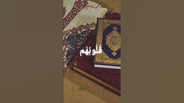 سورة الزمر الآية 22 | القارئ الشيخ ياسر الدوسري