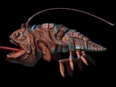 naboo clawfish naboo clawfish