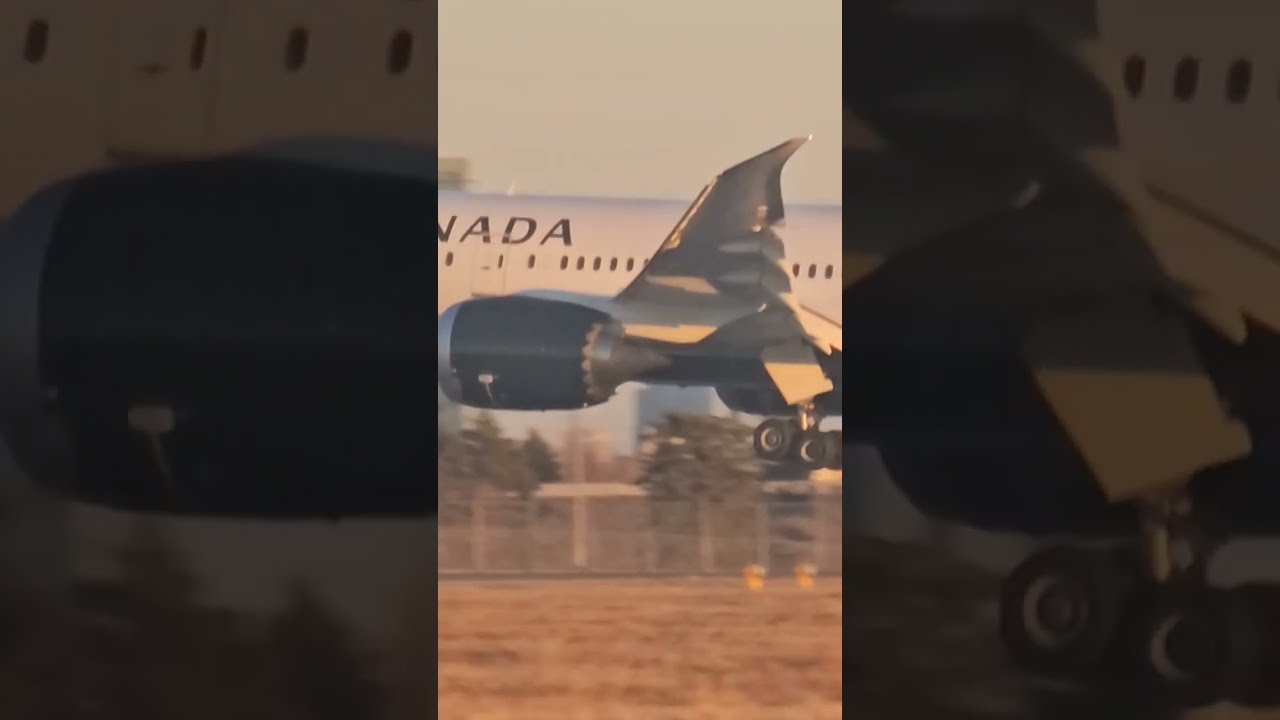 What A Landing 