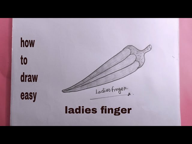 Discover 208+ lady finger sketch