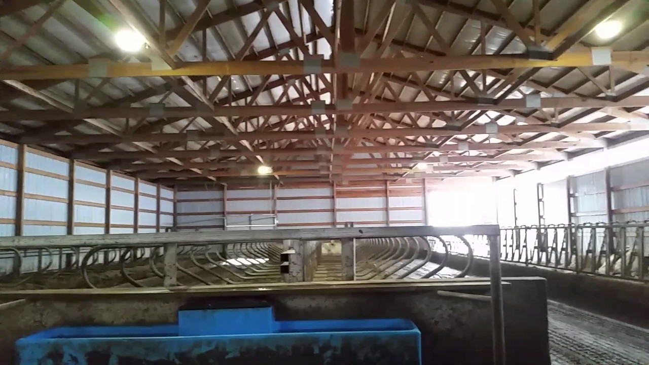 camera iphone 8 plus apk Got lights in the free stall barn