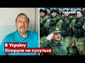 ⚡ГУДКОВ: лукашенко приберіг свою армію для однієї мети / Білорусь. росія, путін / Україна 24