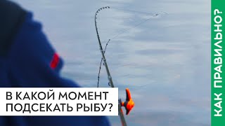 Когда подсекать? И надо ли подсекать в фидере?