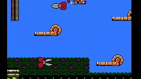 Mega Man 9 - Single Segment Run