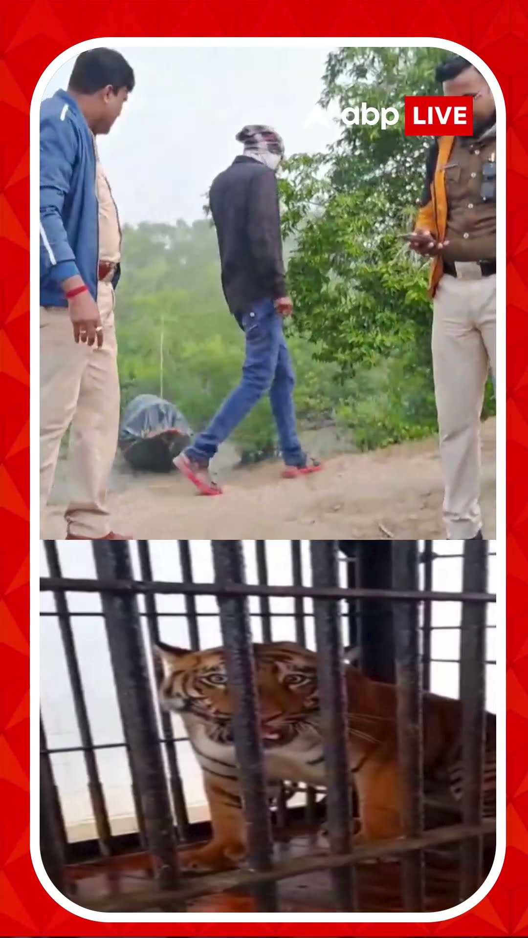 বাঁকুড়ার পর মৌপীঠ, ফের বাঘের আতঙ্ক