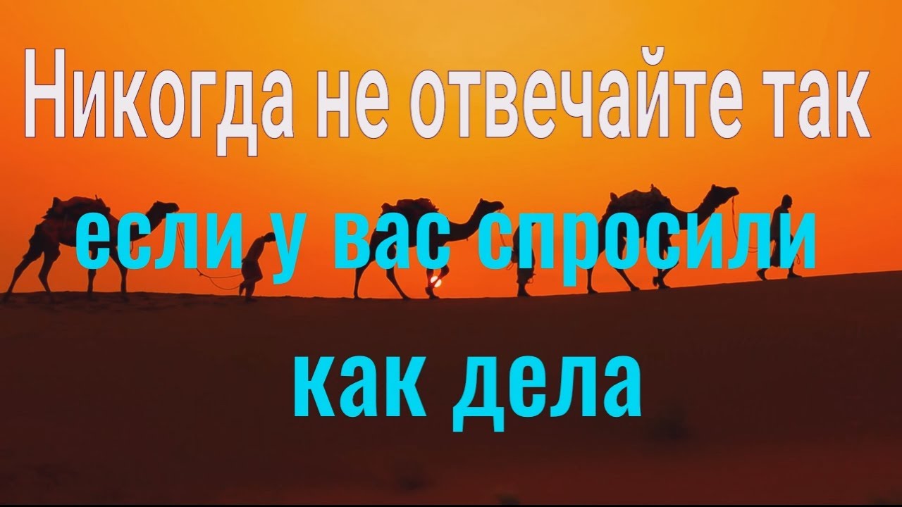 что ответить на слово почему. зачем картинка. ответ на вопрос почему. что ответить на слово почему. слово зачем.