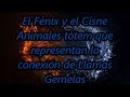 El Fénix y el Cisne:Animales tótem que representan la conexión de Llamas Gemelas