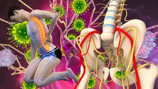 Spinal Repair, 432Hz Cell Regeneration, Instant Relief from Stress and Anxiety, Calm the Mind & Soul