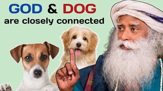 'GOD & DOG are connected' | Sadhguru On 'Dogs- Creators Gift To Humanity' | Sadhguru Latest